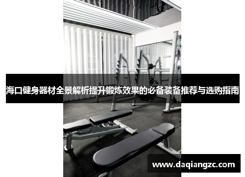 海口健身器材全景解析提升锻炼效果的必备装备推荐与选购指南