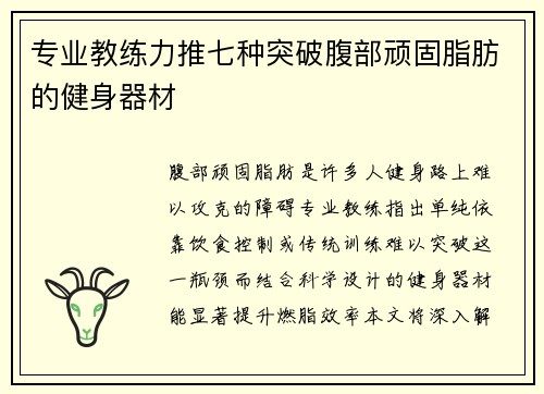 专业教练力推七种突破腹部顽固脂肪的健身器材