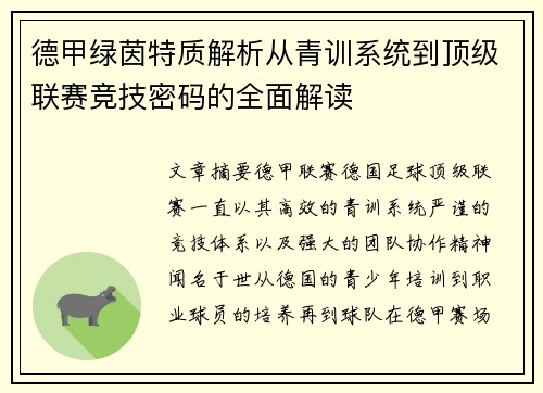 德甲绿茵特质解析从青训系统到顶级联赛竞技密码的全面解读